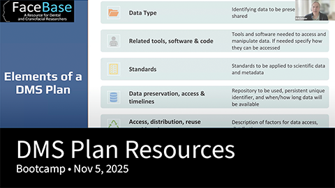 DMS Plan Resources